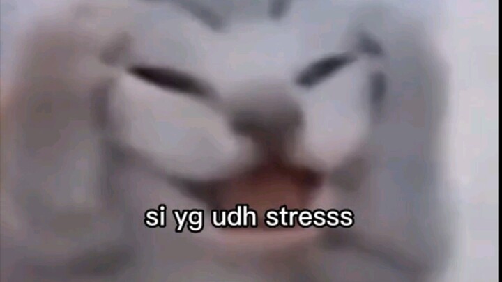 tipenya banget 😌👍🏻✨