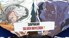SIAPAKAH SILVER RAYLEIGH ⁉️| ONE PIECE