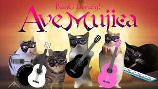 【原曲不使用】猫meme「Ave Muji-CAT」新曲《KiLLFiSH》