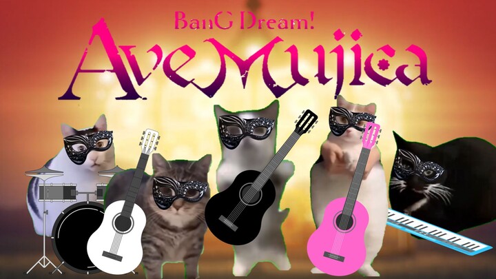【原曲不使用】猫meme「Ave Muji-CAT」新曲《KiLLFiSH》