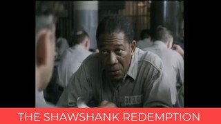 the shawshark redemption (1994)