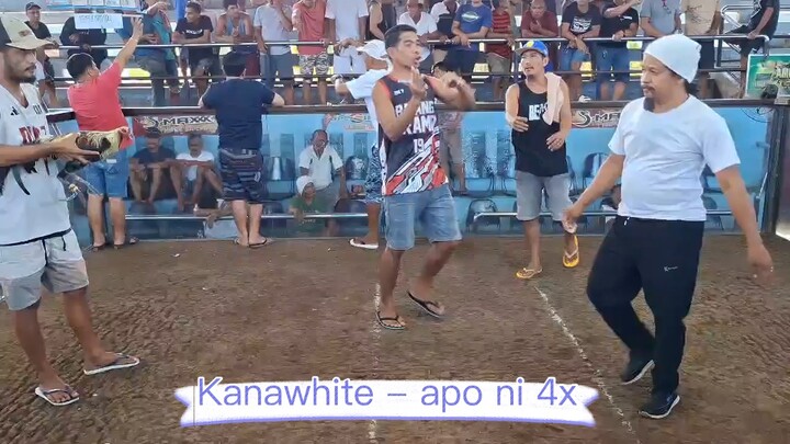 Apo ni 4x - kanawhite