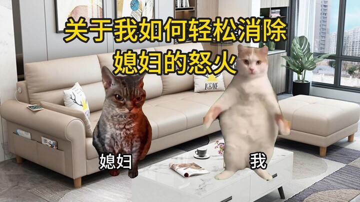 Tentang bagaimana saya dengan mudah meredakan amarah istri | Meme kucing