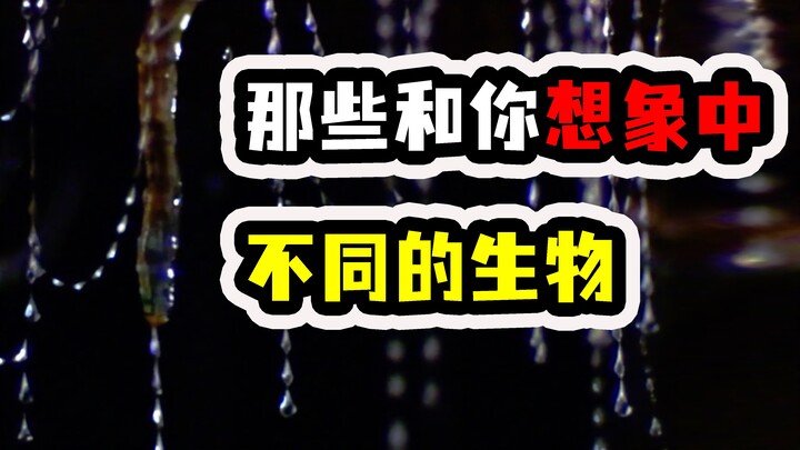 Ternyata di dunia ini selain tumbuhan putri malu, ada juga pohon pemalu? Makhluk-makhluk yang berbed