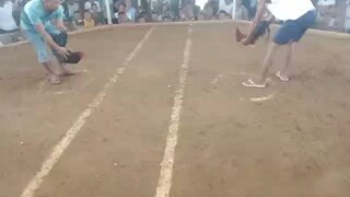 Native lines win