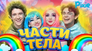 Части тела🎶| Песня для детей