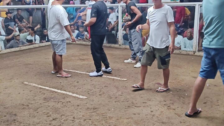 4x Winner na si Bulik Small But Terrible (Win)