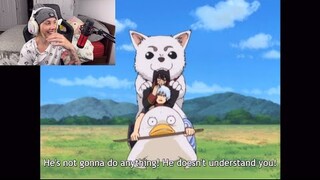 GINTAMA Episode 11-15 CONCLUSION