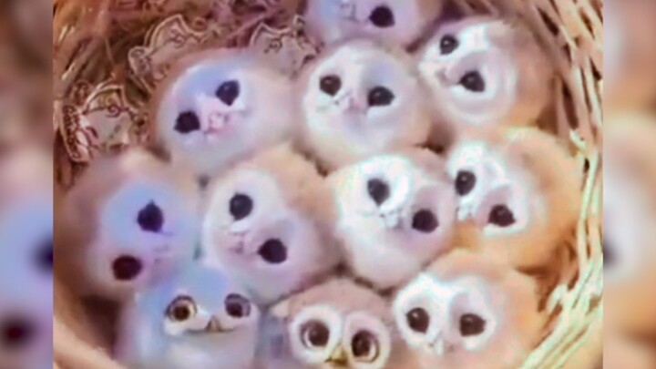 “When you can’t take it anymore, I recommend checking this out.”