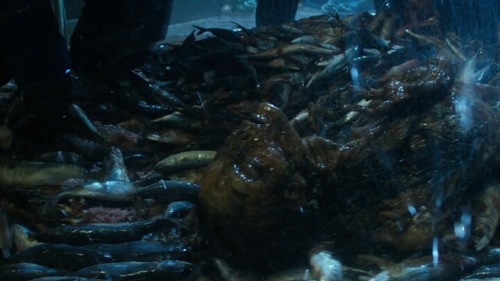 A fisherman hauled up a 65-million-year-old female corpse, treated her like a salted fish, only to d