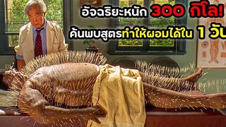 อัจฉริยะหนัก300กิโล ค้นพบสูตรทำให้ผอมได้ใน1วัน! สปอยหนัง BG MOVIE