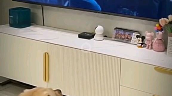 คลิปตลกฮาๆคลายเครียด