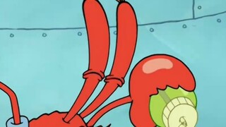SpongeBob: Everyone has hair!