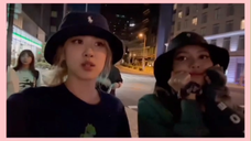 230610 mawar_are_rosie