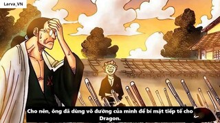 Nguồn Gốc Xuất Thân Của Zoro_ - Mối Liên Hệ Với Monkey D. Dragon I 9