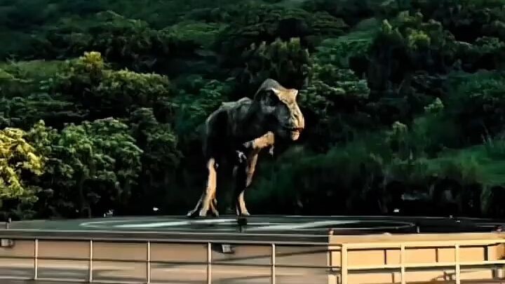 dinasor