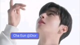 cha Eun @Dior