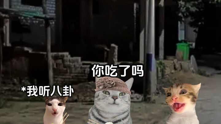 ตอนที่ไฟฟ้าดับในชนบทตอนที่ฉันยังเป็นเด็ก #CatmemeLittleTheater #ความทรงจำ #วัยเด็ก #การฟื้นฟูที่แท้จ