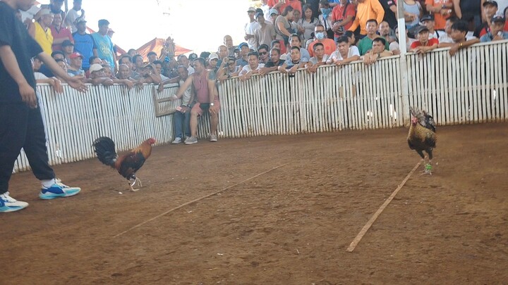 9.23 sec nakuha natin fastest kill salamat bulik..