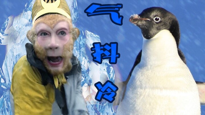 Wukong: Kisah yang harus diceritakan oleh Master dan Penguin