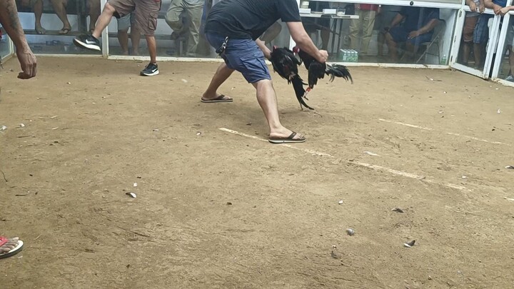 drag fight