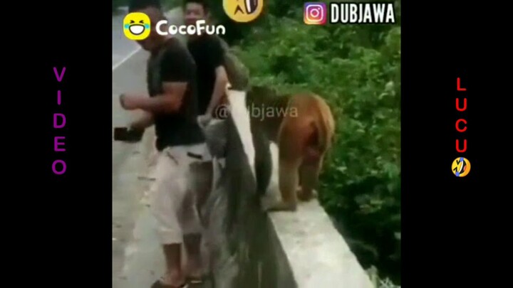 tahan tawa ngakak 3 mnit😂🤣tahan tawa😂🤣ngakak lucu