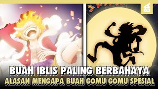 Buah Iblis Paling Berbahaya Didunia!!! Alasan mengapa Buah Iblis Gomu Gomu Sangat Spesial