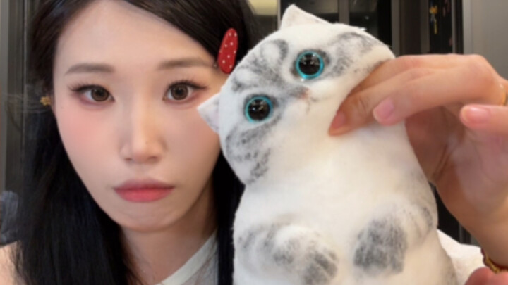 Kiến thức lạ: Người trưởng thành mới là nhóm yêu thích đồ chơi nhất…