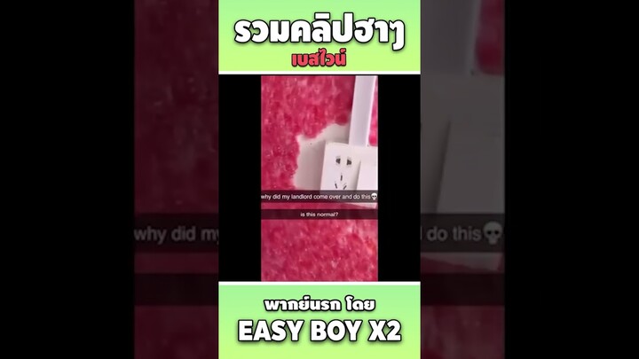 รวมคลิปฮา พากย์นรก #short #easyboy #คลิปฮา #เบสไวน์