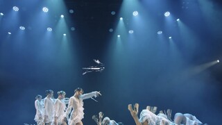 لمحة خاطفة في حقل زهور الخشخاش ✺