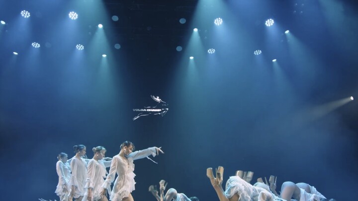 罂粟花田中的惊鸿一瞥✺