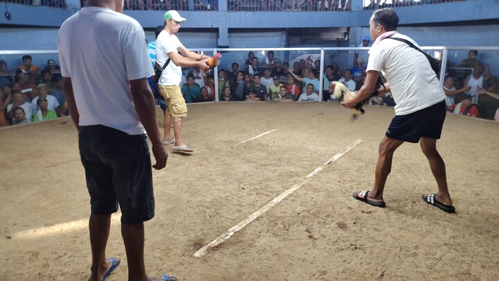 4xwinner super tukong 💪🐓