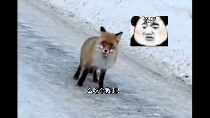Fox: I’m really speechless.