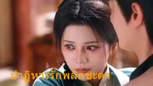ปาฏิหารย์รักพลิกชะตา(ซับไทย)