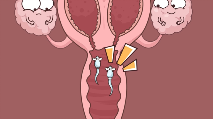 ห้องละ 1 ท่าน