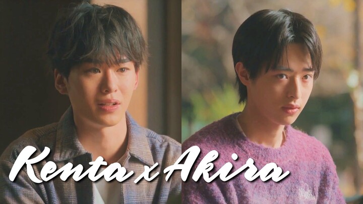 เคนตะ x อากิระ [BL Cut] ❤️ จงโบยบินไปบนท้องฟ้าแห่งชีวิต