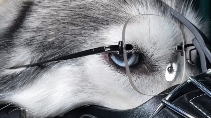 I heard that everyone wants to see the muzzle, so why not come here?
