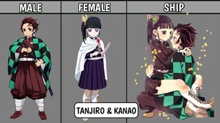 DEMON SLAYER SHIPS || PlayNetCity