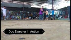 3/4 Doc 1/4 Sweater KLMXgamefowl