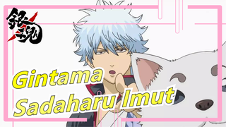 [Gintama] Siapa Yang tidak mau Sadaharu imut ini?