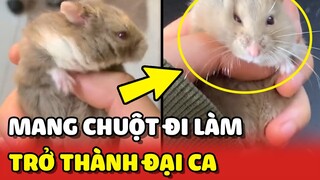 Cô gái mang CHUỘT đến công ty ai dè nó trở thành ĐẠI CA luôn 😂 | Yêu Lu