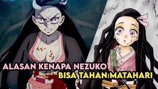 Pernah Makan Bunga Spider Lily? Alasan Kenapa Nezuko Bisa Tahan Sinar Matahari | Kimetsu no yaiba s3