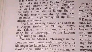 Pang Araw Araw na Talata.               Exodus 8:6-15