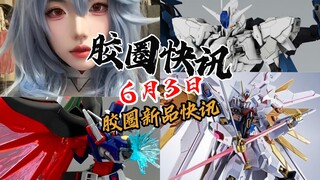 【6月3日胶圈快讯】