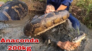 Cuộc Đại Chiến Kinh Hoàng Với Quái Vật ANACONDA Khổng Lồ 200kg| Săn Bắt Ẩm Thực Vùng Cao