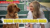 Kisah Persahabatan Manusia & Anjing Yang Sangat Setia | Alur Film THE ART OF RACING IN THE RAIN