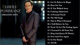 David Pomeranz Greatest Hits Collection Full Playlist HD