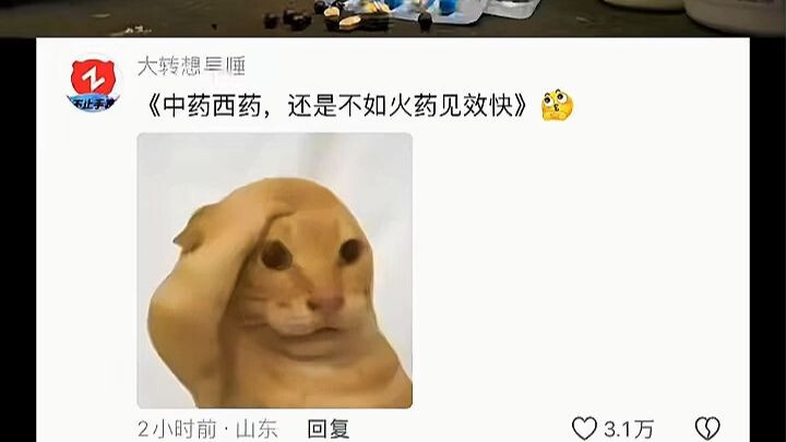 “Traditional Chinese medicine and Western medicine still can’t match the speed of gunpowder”