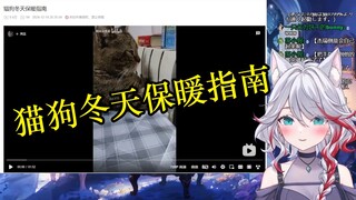 日本天然小姐姐看《猫狗冬天保暖指南》