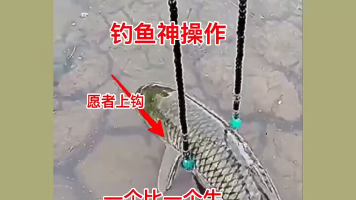 Aksi memancing yang luar biasa, satu per satu semakin hebat